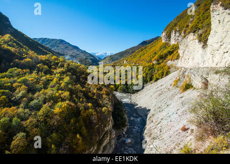 Straße führt durch eine wunderschöne Schlucht am Fluss Argun in den Bergen von Tschetschenien, Kaukasus, Russland, Europa Stockfoto