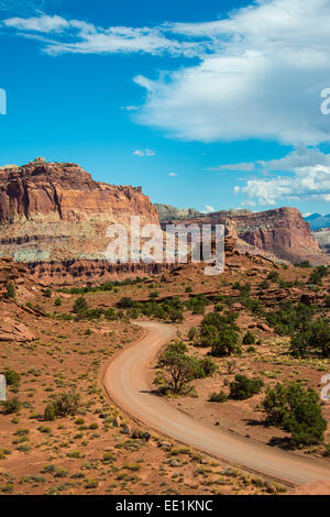 Straße führt durch den Capitol Reef National Park, Utah, Vereinigte Staaten von Amerika, Nordamerika Stockfoto