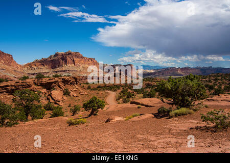 Roten Sandsteinfelsen in den Capitol Reef National Park, Utah, Vereinigte Staaten von Amerika, Nord Amerika Stockfoto