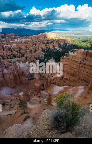 Die bunten Sandstein-Formationen der Bryce-Canyon-Nationalpark am späten Nachmittag, Utah, Vereinigte Staaten von Amerika Stockfoto