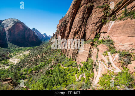 Blick über die Klippen von der Zion National Park und die Angel Landing Trail, Zion Nationalpark, Utah, Vereinigte Staaten von Amerika Stockfoto