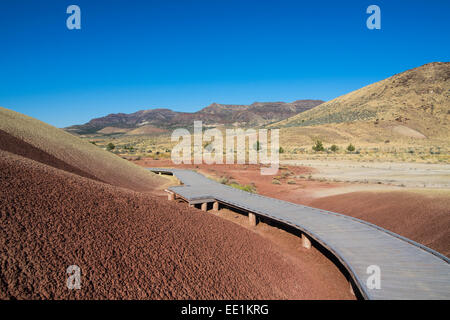 Mehrfarbige Schichten Hügel in der Painted Hills-Einheit in den John Day Fossil Beds National Monument, Oregon, USA Stockfoto