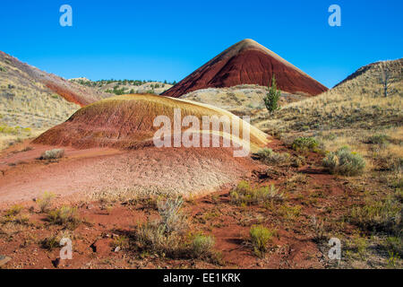 Mehrfarbige Schichten Hügel in der Painted Hills-Einheit in den John Day Fossil Beds National Monument, Oregon, USA Stockfoto