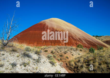 Mehrfarbige Schichten Hügel in der Painted Hills-Einheit in den John Day Fossil Beds National Monument, Oregon, USA Stockfoto