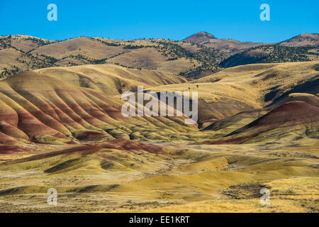 Mehrfarbige Schichten in der Painted Hills-Einheit in der John Day Fossil Betten Nationaldenkmal, Oregon, Deutschland Stockfoto