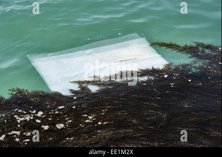 Venedig, Italien. Ein ausrangierter Plastikbeutel schwimmt in einem Kanal Stockfoto