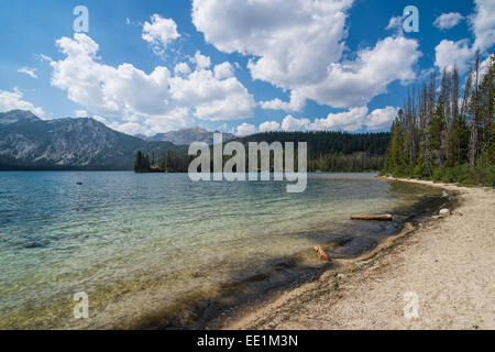 Sandstrand am Pettit See in einem Tal nördlich von Sawtooth National Forest, Sun Valley, Idaho, Vereinigte Staaten von Amerika Stockfoto