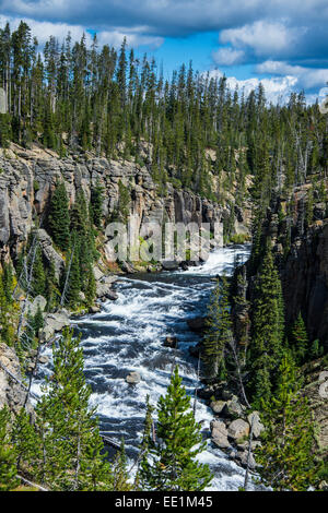 Blick über den Lewis River, Yellowstone National Park, UNESCO-Weltkulturerbe, Wyoming, Vereinigte Staaten von Amerika Stockfoto