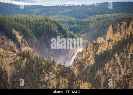 Desto geringer fällt in der Grand Canyon von Yellowstone, Yellowstone-Nationalpark, UNESCO World Heritage Site, Wyoming, USA Stockfoto