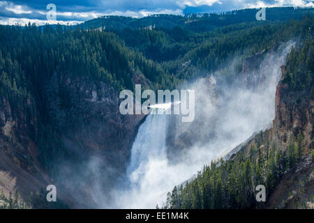 Die obere verliebt sich in den Grand Canyon von Yellowstone im Yellowstone National Park, UNESCO World Heritage Site, Wyoming, USA Stockfoto