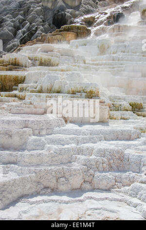 Travertin-Terrassen in Mammoth Hot Springs Terrassen, UNESCO-Weltkulturerbe, Yellowstone-Nationalpark, Wyoming, USA Stockfoto