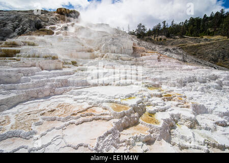 Travertin-Terrassen in Mammoth Hot Springs Terrassen, UNESCO-Weltkulturerbe, Yellowstone-Nationalpark, Wyoming, USA Stockfoto