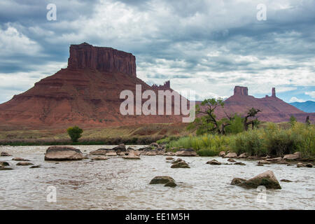 Der Colorado River mit Castle Valley im Hintergrund, in der Nähe von Moab, Utah, Vereinigte Staaten von Amerika, Nordamerika Stockfoto