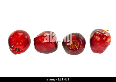Frischer roter Apfel auf weißem Hintergrund Stockfoto