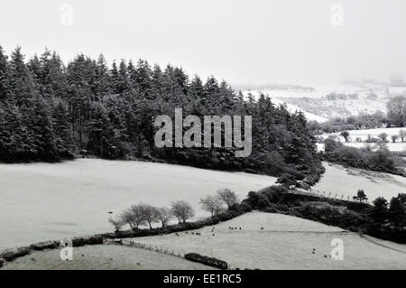 Aberystwyth, Wales, UK. 13. Januar 2015. Schnee lässt sich auf Ackerland in den Ausläufern der Cambrian Mountains in der Nähe von Comins Coch, Aberystwyth, Wales - John Gilbey/Alamy Live News 13. Januar 2015 Credit: John Gilbey/Alamy Live News Stockfoto