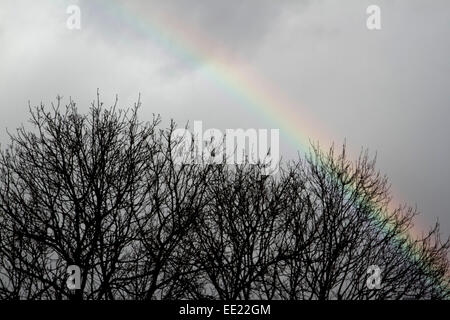 Wimbledon, London, UK. 13. Januar 2015. Ein Regenbogen erscheint nach einem Sturm und regen Duschen im Südwesten London Credit: Amer Ghazzal/Alamy Live-Nachrichten Stockfoto