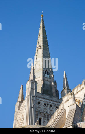 Blick auf die Kathedrale von Norwich, Norfolk, East Anglia, England Stockfoto