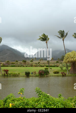 Exotische tropische Landschaft von der Insel Maui, Hawaii Stockfoto