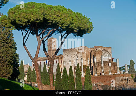 Rom-Ruinen Forum Romanum Forum Italien Roman Lazio mit jenseits der Kirche Chiesa di Santa Maria in Cosmedin Stockfoto