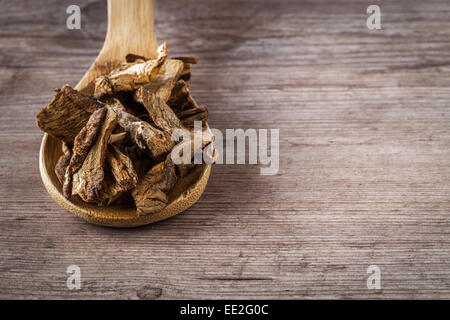 Getrocknete Steinpilze auf einem Holzlöffel Stockfoto