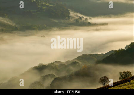WYE VALLEY POWYS, WALES AM FRÜHEN MORGEN HERBSTNEBEL ÜBER DEN FLUSS UND BÄUME Stockfoto