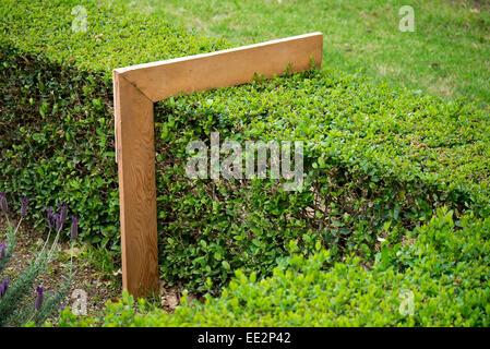 Eine rechtwinklige Maßnahme zur Hecke Höhe auf eine Hecke in der Vergelegen Wine Estate in Western Cape, Südafrika zu überprüfen. Stockfoto