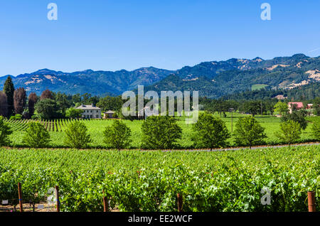 Weinberg und Weinkeller vor den Toren St. Helena im Napa Valley, Wine Country, Nord-Kalifornien, USA Stockfoto