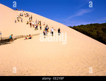 Dune de Pyla, Aquitaine, Frankreich. Größte Sanddüne Europas. 105m hoch, 500m breit, 2,7 km Long.People Wandern zum Gipfel. Stockfoto