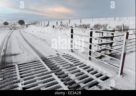 Mynydd Epynt Reihe von Hügeln, Powys, Wales, UK. 13. Januar 2015.  Eine Autofahrer fährt durch eine Winterlandschaft auf der B4520 "Brecon" Straße über Hochmoor zwischen Builth Wells und Brecon, Epynt an Hügeln in Powys. Schnee fällt in Mid Wales wie vorhergesagt durch die Wettervorhersagen. Bildnachweis: Graham M. Lawrence/Alamy Live-Nachrichten. Stockfoto