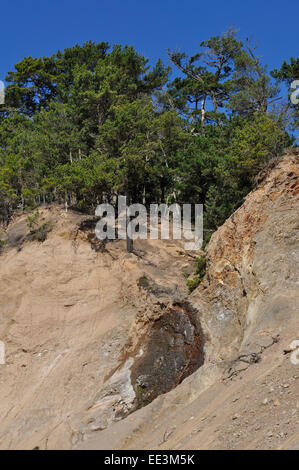 Cliff Erosion entlang der kalifornischen Highway 1 nördlich von Santa Cruz, Stockfoto