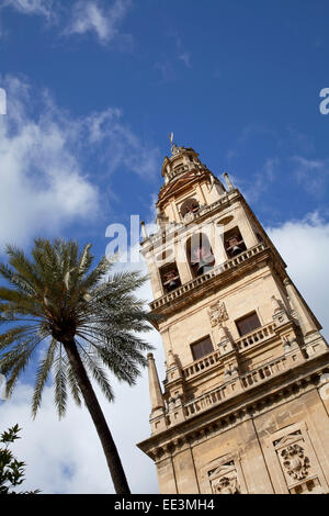 Torre del Alminar Glockenturm, die Mezquita (Moschee), Córdoba, Andalusien, mit Palme Stockfoto