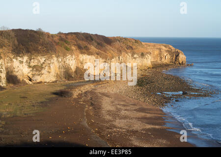 Weißdorn-Hive und Chourdon Punkt an der Nordküste Durham zwischen Easington Zeche und Seaham Stockfoto