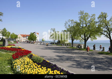 Deutschland, Bodensee, Europa, Oberschwaebische Barockstrasse, Stadt, Sehenswuerdigkeit, Tourismus, Baden-Württemberg, Friedric Stockfoto