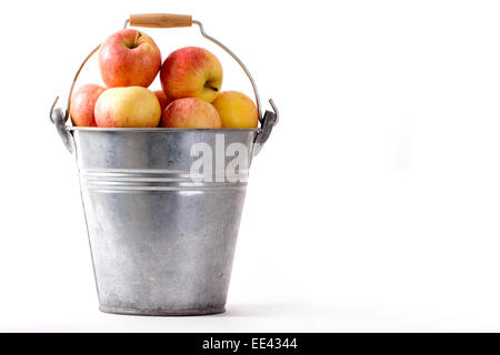Lebendige Äpfel in einem Metall Eimer auf weißem Hintergrund Stockfoto