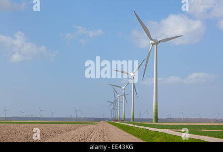 Windparks in den Niederlanden, die alternative Energiegewinnung Stockfoto