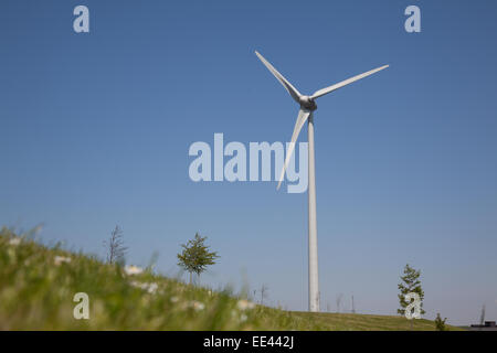 Windparks in den Niederlanden, die alternative Energiegewinnung Stockfoto