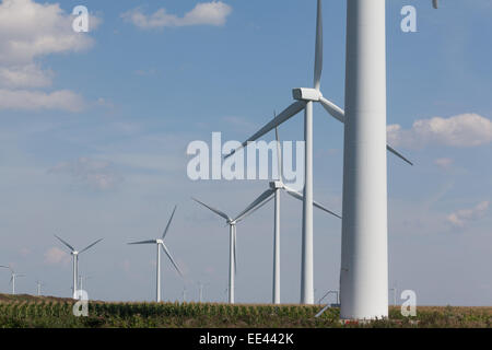 Windparks in den Niederlanden, die alternative Energiegewinnung Stockfoto