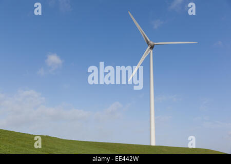 Windparks in den Niederlanden, die alternative Energiegewinnung Stockfoto