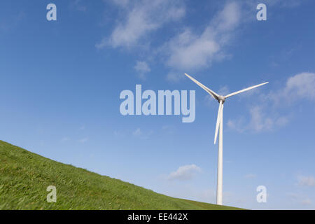 Windparks in den Niederlanden, die alternative Energiegewinnung Stockfoto