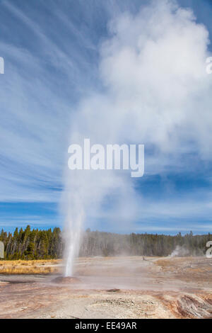 Pink cone Geysir im Yellowstone National Park ausbrechenden Wyoming Stockfoto