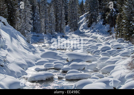 Im Winter im Yellowstone National Park Wyoming entlang des Soda Butte Creek Stockfoto