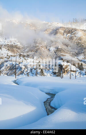 Roaring Mountain im Winter im Yellowstone Stockfoto