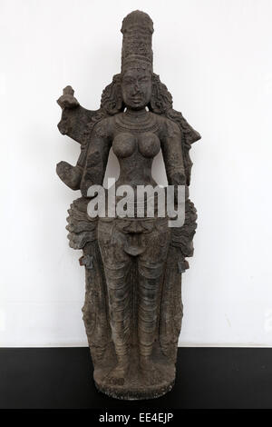 Devi, vom 12./13. Jahrhundert in Granit, Südindien, die jetzt im Indian Museum in Kalkutta, am 15. Februar 2014 ausgesetzt gefunden Stockfoto