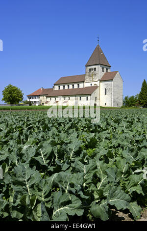 Deutschland, Bodensee, Europa, Baden-Württemberg, Sehenswuerdigkeit, Tourismus, Insel Reichenau, Oberzell, Stiftskirche, St, Stockfoto