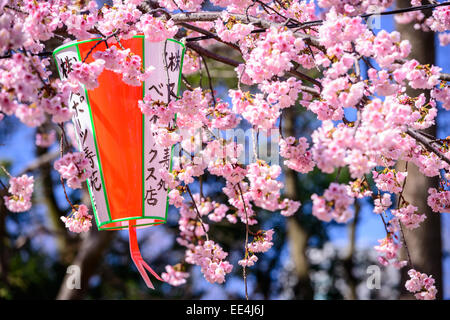 Tokyo, Japan-Frühling im Ueno Park. Stockfoto