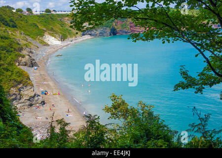 Blick über Saint Marys Bucht Torbay Devon England UK mit Menschen am Strand Stockfoto