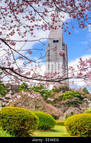 Tokyo, Japan-Frühling im Shinjuku Gyōen Park. Stockfoto