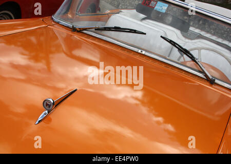 Motorhaube eines Jahrgangs Ford Fairlane in Havanna, Kuba Stockfoto