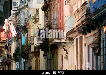 Eine bunte Straße in Kubas Hauptstadt Havanna Stockfoto