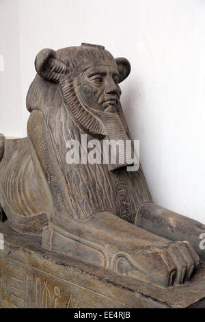 KOLKATA, Indien - Februar 15: Sphinx aus der ägyptischen Sammlung, Indian Museum in Kalkutta, am 15. Februar 2014 Stockfoto